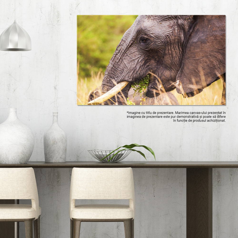 Elefant Masiv în Parcul Național Kenya – Tablou Canvas, Marime 40x25CM [3]