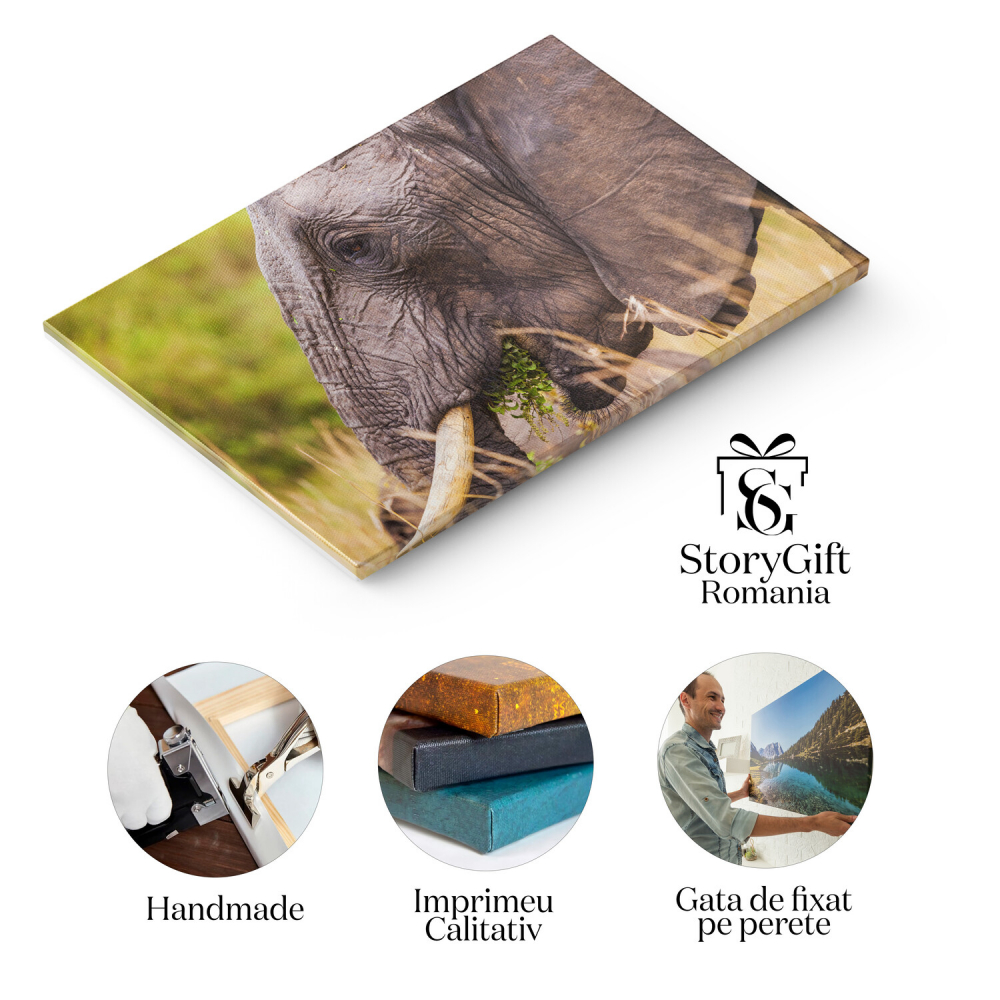 Elefant Masiv în Parcul Național Kenya – Tablou Canvas, Marime 40x25CM [2]