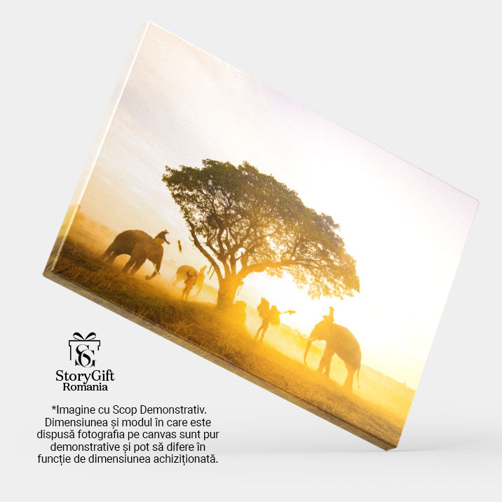 Tablou Canvas Elefanti in Dimineata Pustie a Asiei agro-cultura, mamifere, natura salbatica, colectare, dimineata 1811 40x25CM [4]