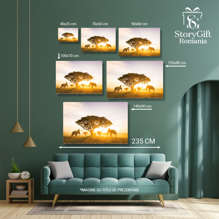 Tablou Canvas Elefanti in Dimineata Pustie a Asiei agro-cultura, mamifere, natura salbatica, colectare, dimineata 1811 40x25CM [5]