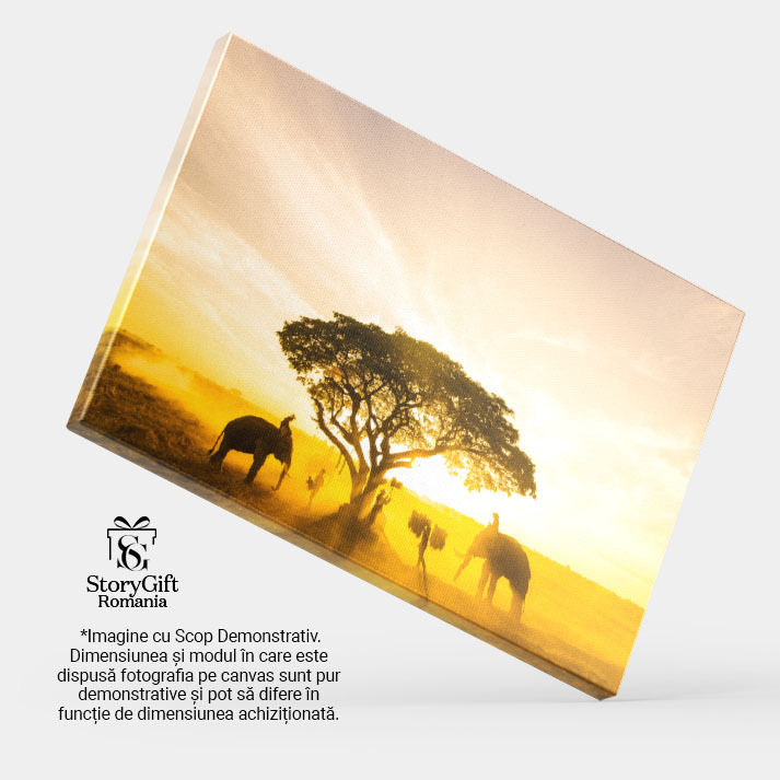 Tablou Canvas Elefanti in Lumina Zorilor din Asia agro-cultura, mamifere, terenuri cultivate, culoare, dimineata 1805 40x25CM [4]