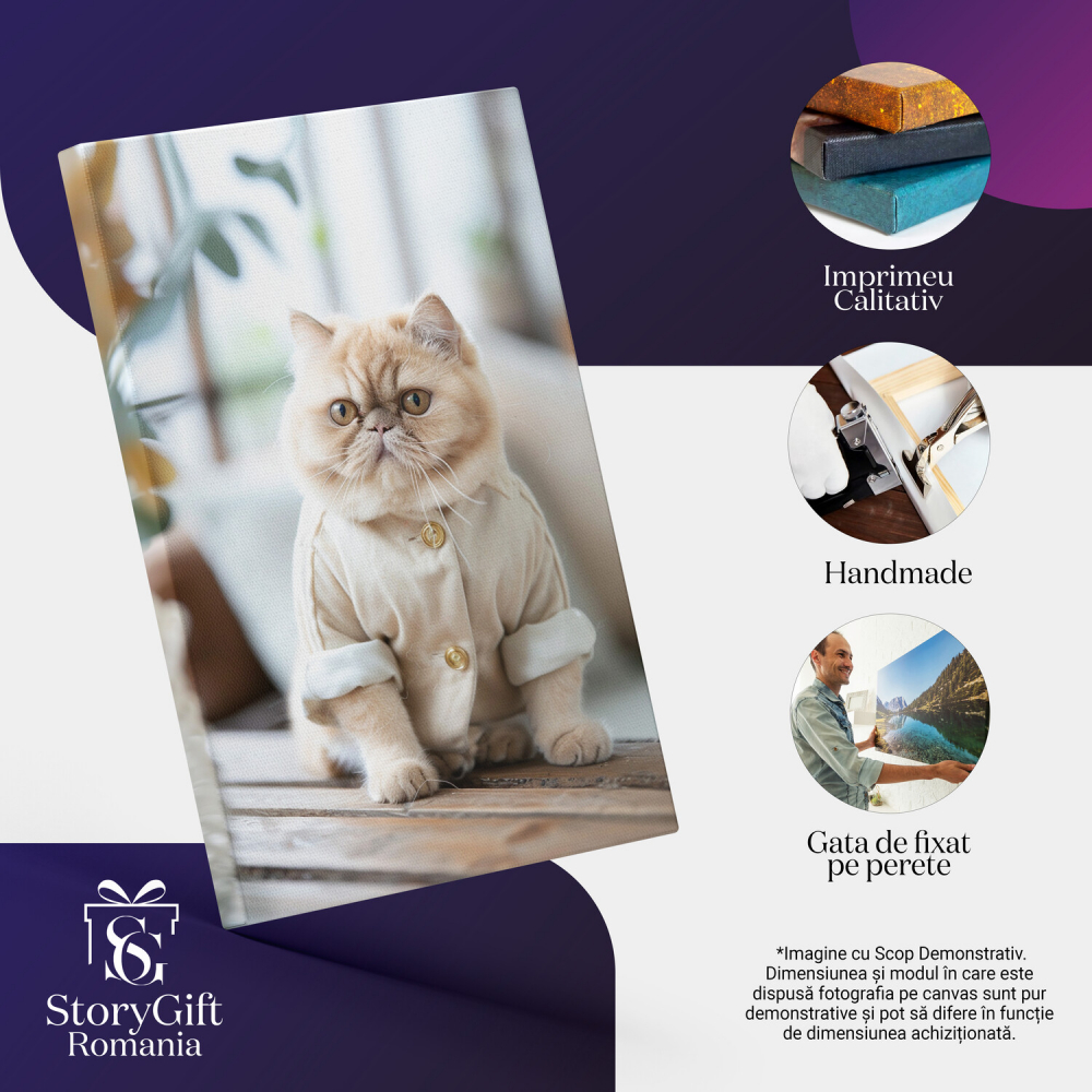 Tablou Canvas Motanul Exoticul pe Podium, Marime 40x25CM [2]