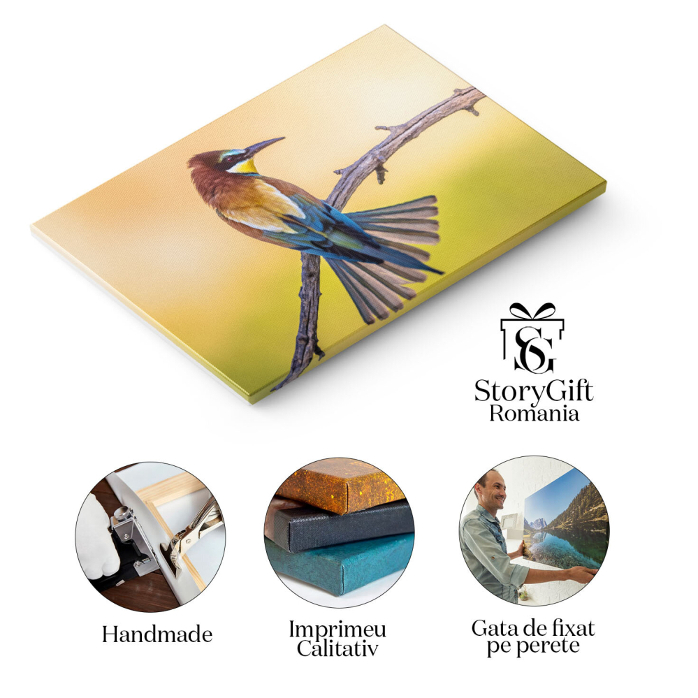 Tablou Canvas: Fascinatia Culorilor si a Vietii Aviare - Pasare, Culori, Privire, Eleganta 40x25CM [2]