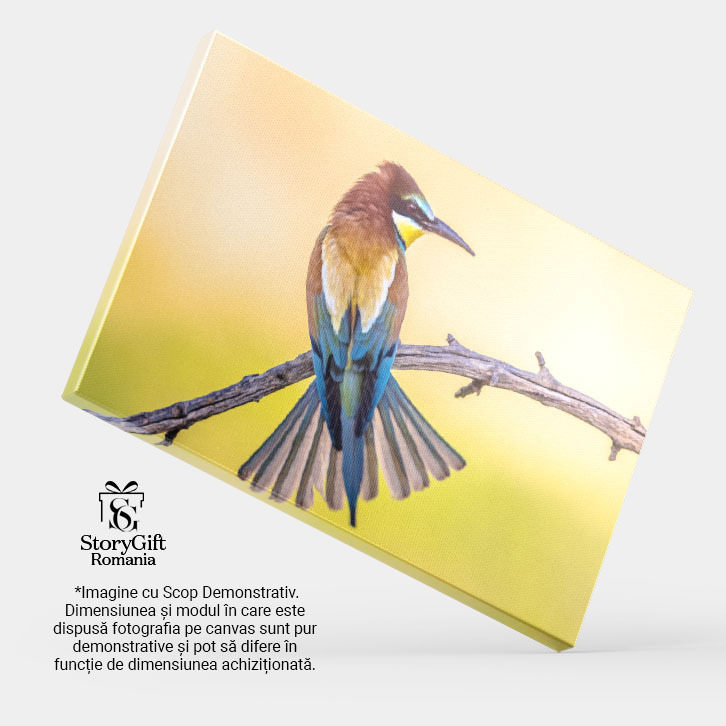 Tablou Canvas: Fascinatia Culorilor si a Vietii Aviare - Pasare, Culori, Privire, Eleganta 40x25CM [4]