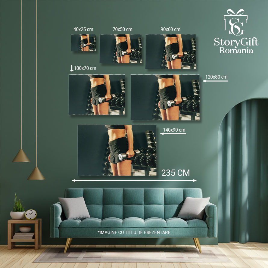 Tablou Canvas - Femeie atletica: forta, frumusete si disciplina la sala de sport 40x25CM [5]