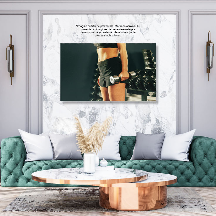 Tablou Canvas - Femeie atletica: forta, frumusete si disciplina la sala de sport 40x25CM [3]