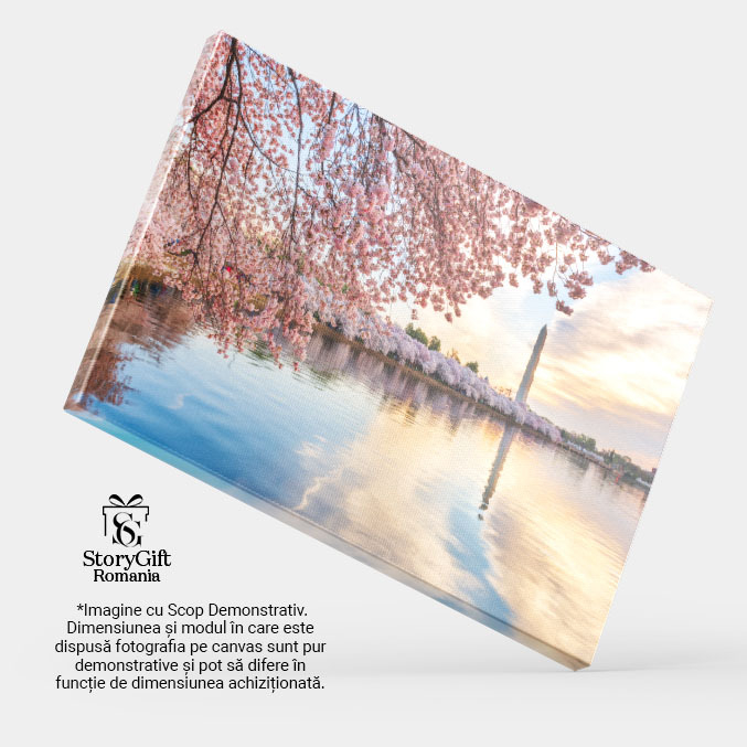 Tablou Canvas - Festivalul Cireselor in Washington, DC: Flori si Bucurie 40x25CM [4]