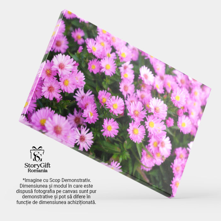 Tablou Canvas Flori infloritoare in Gradina Plante Naturale Flori, primavara, fundal, inflorire, frumusete 875 40x25CM [4]