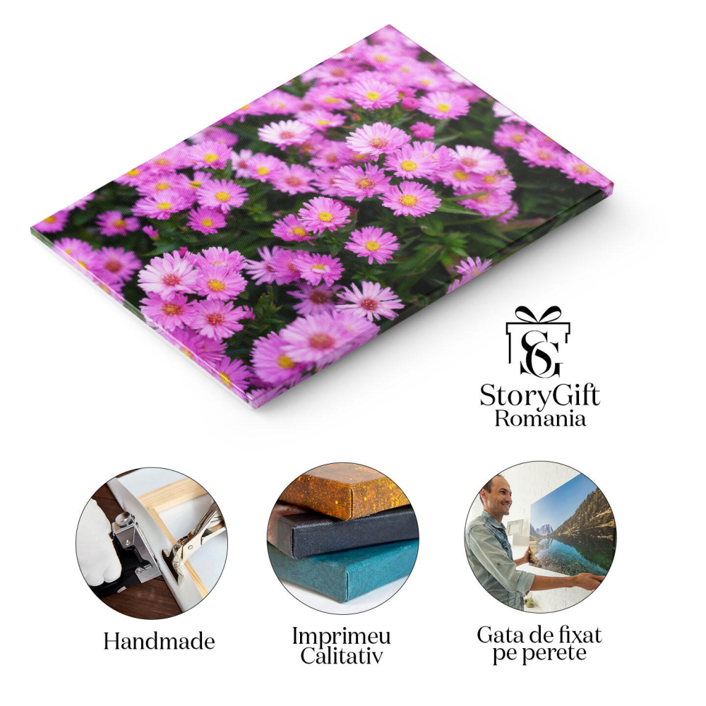 Tablou Canvas Flori infloritoare in Gradina Plante Naturale Flori, primavara, fundal, inflorire, frumusete 875 40x25CM [2]