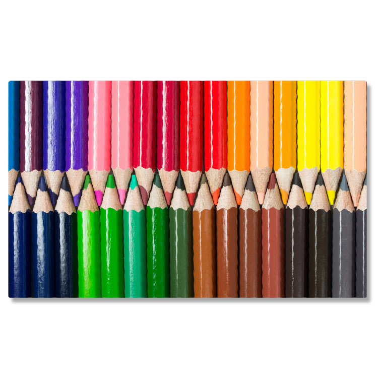 Tablou Canvas Fluture Colorat in Melbourne Fauna, Botanic, Colorat, Detaliu, Frumos 1379 40x25CM [1]