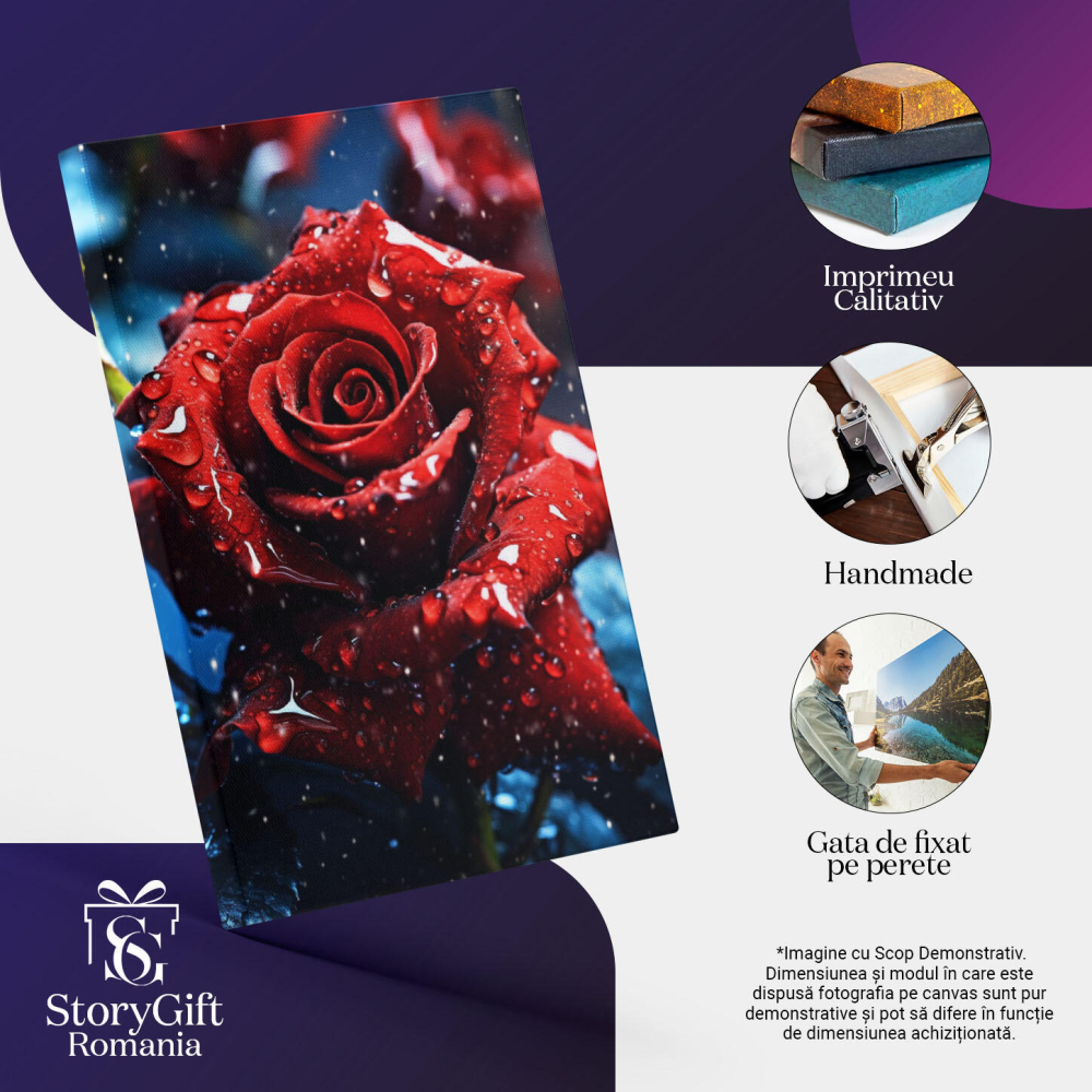 Tablou Canvas:  Fotografie cu un trandafir rosu - picaturi de ploaie Pictura Digitala 40x25CM [3]