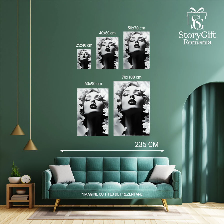 Tablou Canvas: Fotografie in stil vechi  Frumusete,  Alb-negru, Nor, Design grafic, Grafica, Monocrom, Pictura Digitala 40x25CM [4]