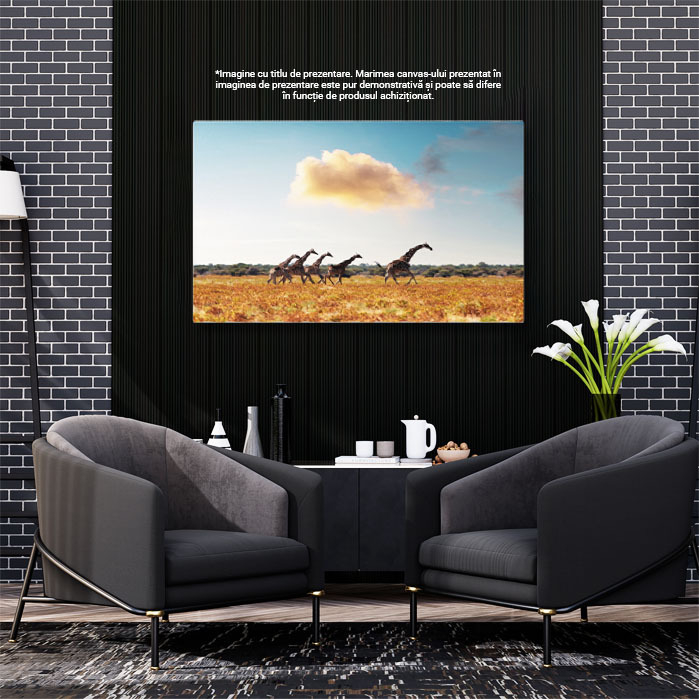 Tablou Canvas Girafa in Iarba Uscata a Savannah-ului African, giraffe, natura, peisaj, Africa 2143 40x25CM [3]