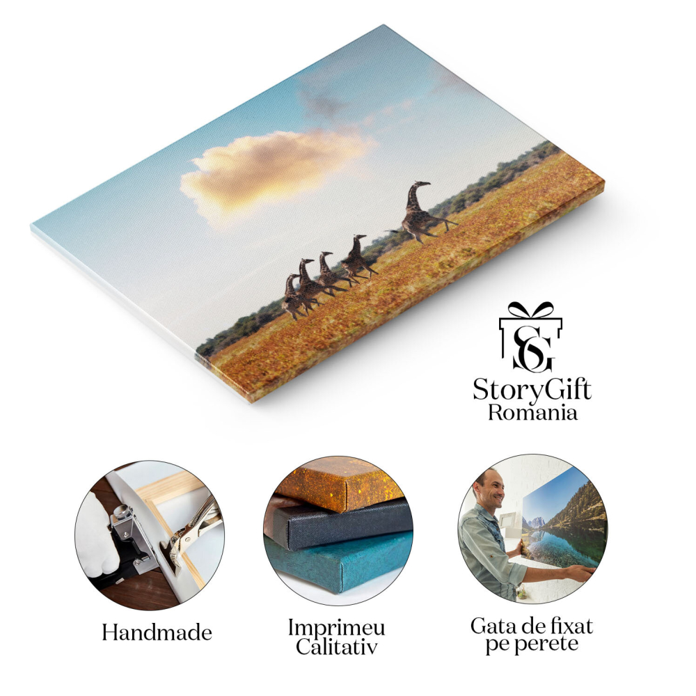 Tablou Canvas Girafa in Iarba Uscata a Savannah-ului African, giraffe, natura, peisaj, Africa 2143 40x25CM [2]