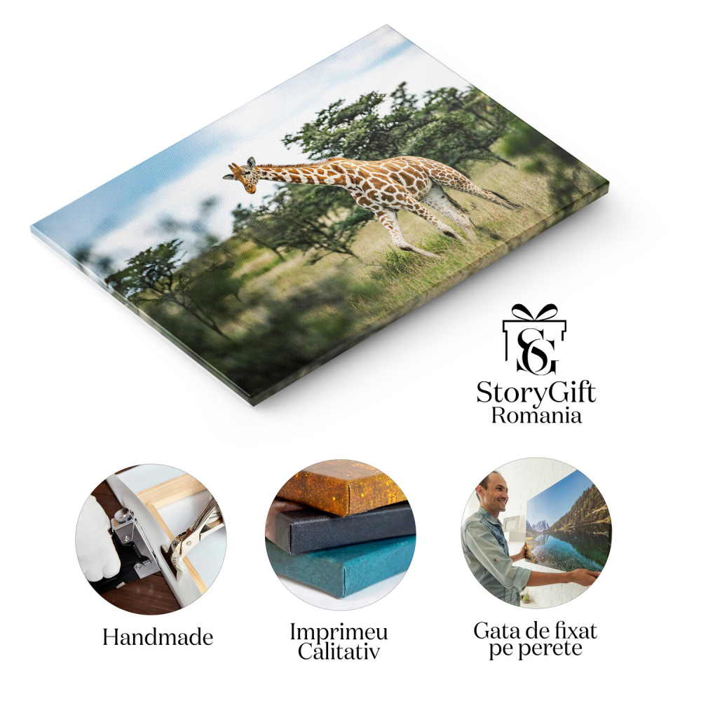 Girafa în Peisaj Kenyan - Fauna Sălbatică Africană, Marime 40x25CM [2]