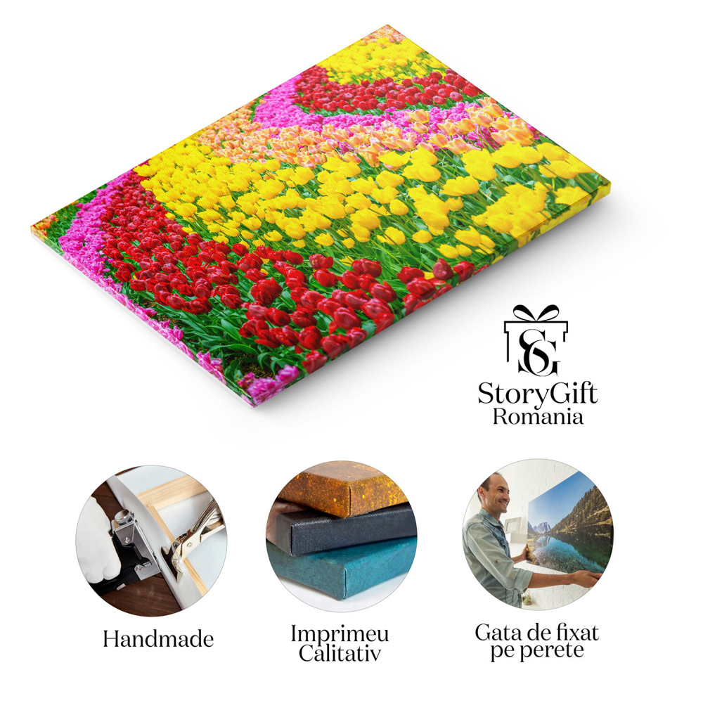 Tablou Canvas Gradina de Lalele in Primavara, fundal, natura, floare, primavara, peisaj 90x60CM [3]