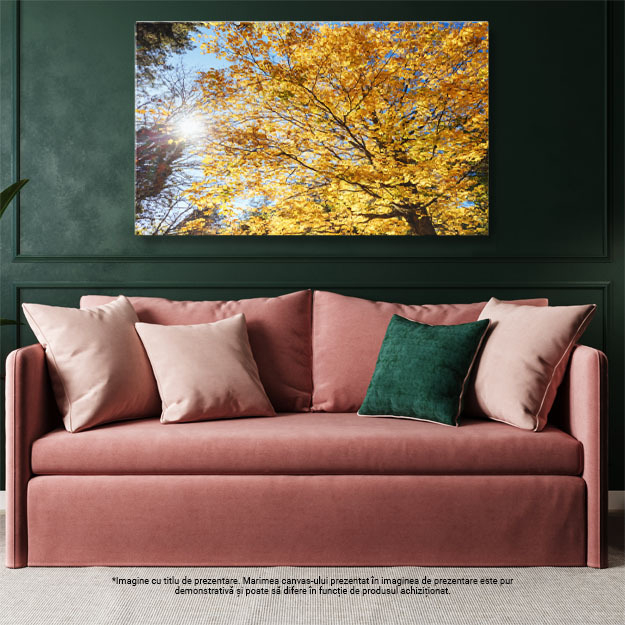 Tablou Canvas Gradinile Memorial Alfred Nicholas in Australia, australia, toamna, frumos, boathouse, colorat, colorat, rural, dandenongs, mediu, cadere, frunze, padure, gradini, aurii, idilic 361 40x2 [3]