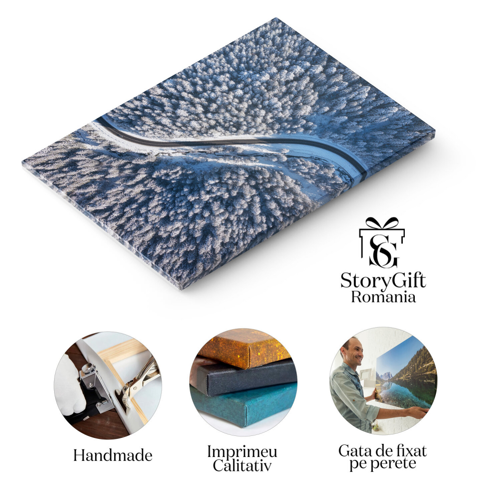 Iarna de Sus - Perspectivă Aeriană a Peisajului de Iarnă, Marime 40x25CM [2]