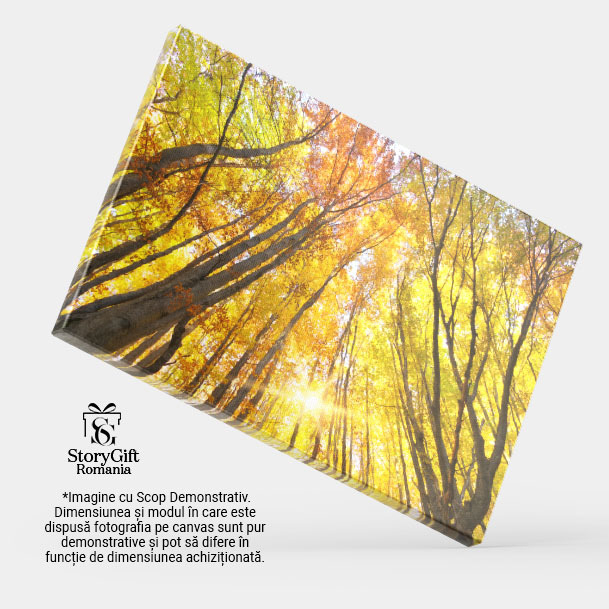 Tablou Canvas In padurea de toamna, frunze, peisaj natural, toamna 2518 40x25CM [4]