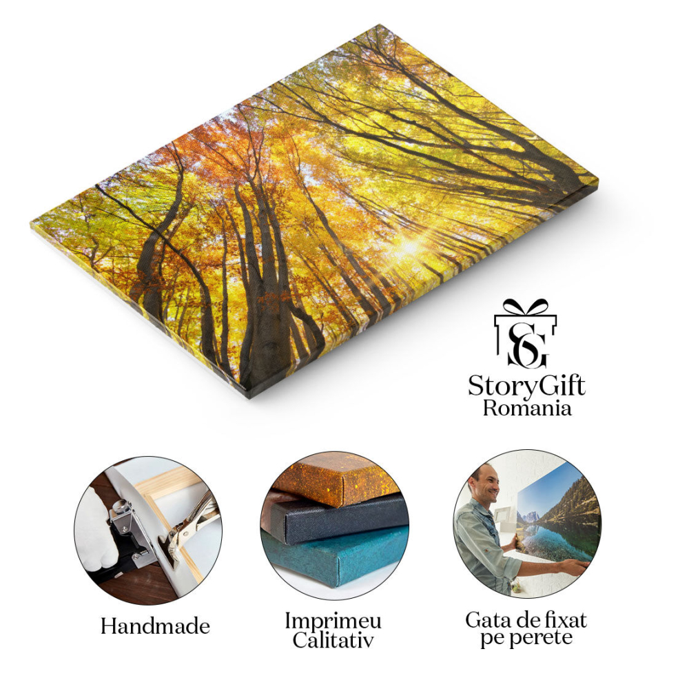 Tablou Canvas In padurea de toamna, frunze, peisaj natural, toamna 2518 40x25CM [2]