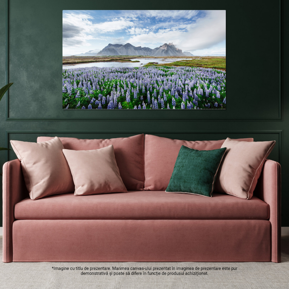 Tablou Canvas Incredible Aventuri: Peisaje Costiere cu Stanci și Ghetari, Marime 40x25CM [4]