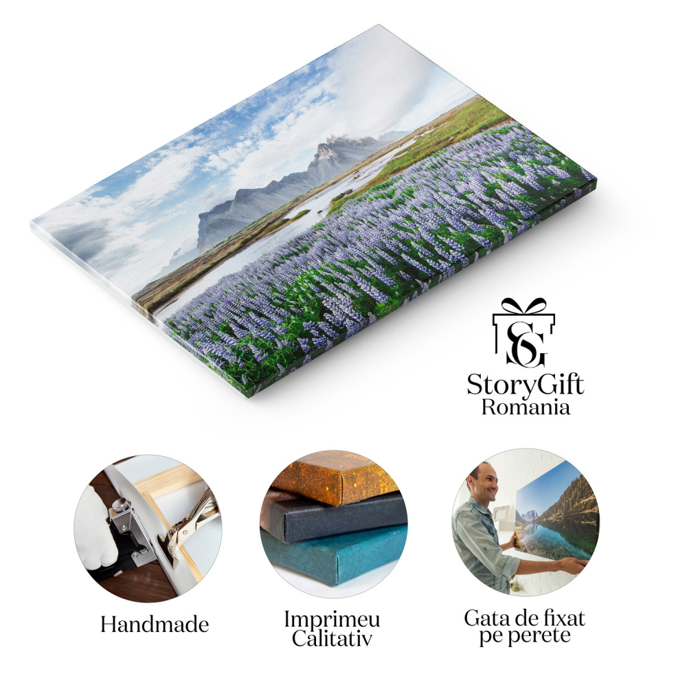 Tablou Canvas Incredible Aventuri: Peisaje Costiere cu Stanci și Ghetari, Marime 40x25CM [2]