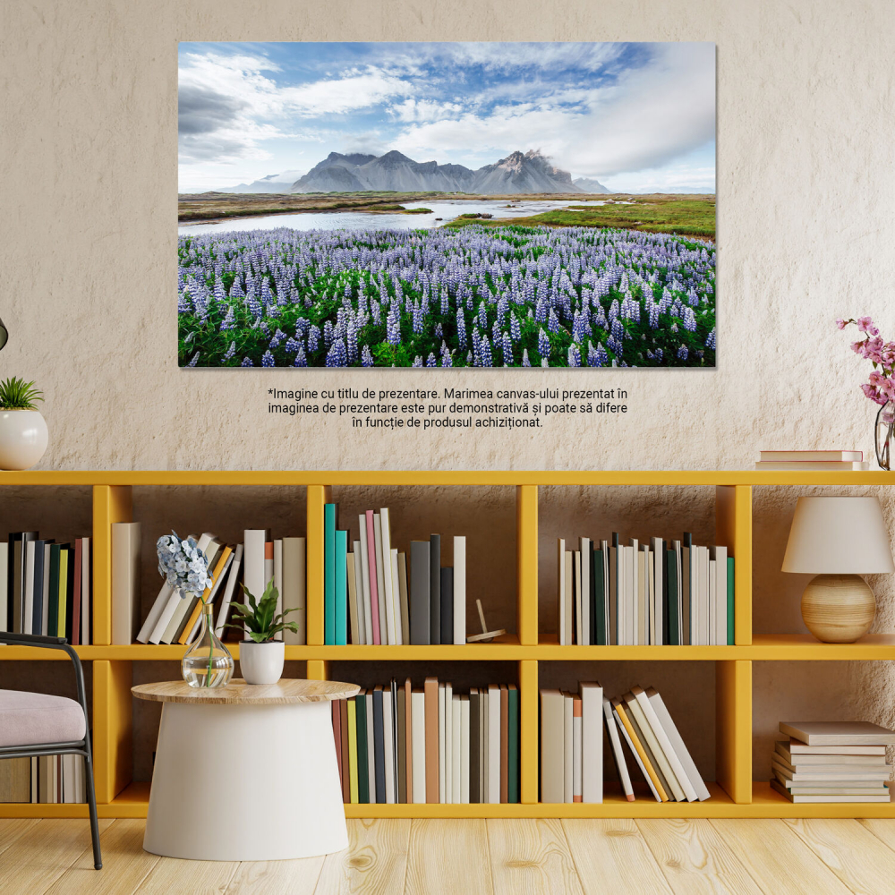 Tablou Canvas Incredible Aventuri: Peisaje Costiere cu Stanci și Ghetari, Marime 40x25CM [3]