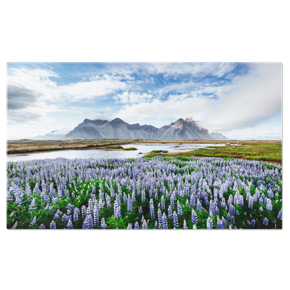 Tablou Canvas Incredible Aventuri: Peisaje Costiere cu Stanci și Ghetari, Marime 40x25CM [1]