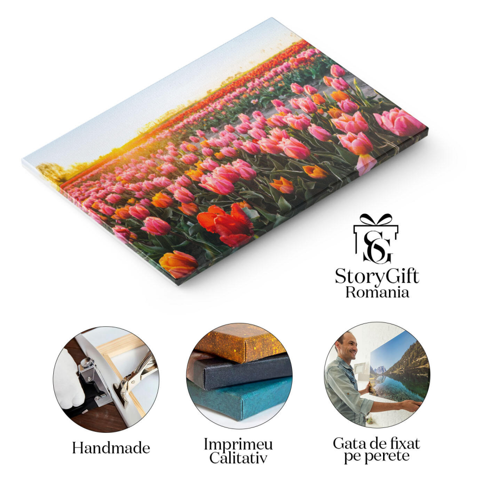 Tablou Canvas: Înfrumuse?area Prim?verii în Agricultur? - Câmpuri Înflorite la Apus în Natur?" 40x25CM [2]