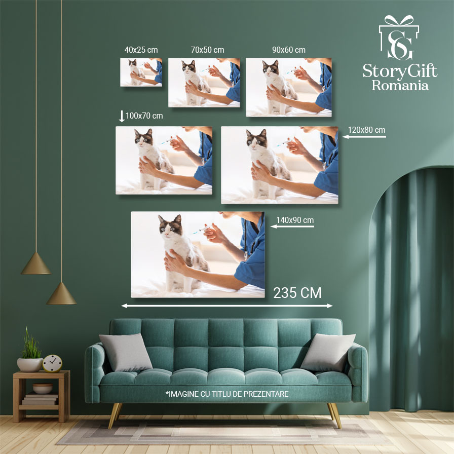 Tablou Canvas - ingrijire Medicala pentru Pisici: Vaccinare si Sanatate 40x25CM [5]
