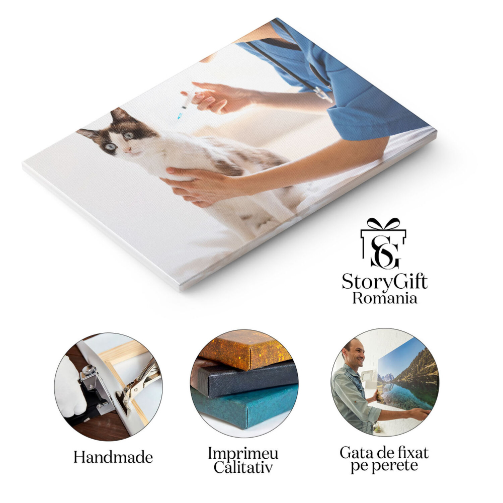 Tablou Canvas - ingrijire Medicala pentru Pisici: Vaccinare si Sanatate 40x25CM [2]