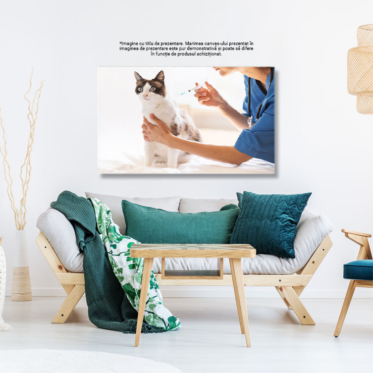 Tablou Canvas - ingrijire Medicala pentru Pisici: Vaccinare si Sanatate 40x25CM [3]