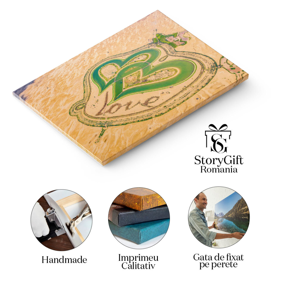 Tablou Canvas Inima Galbena a Desertului desert, aerial, iubire, simbol, calatorie 1631 40x25CM [2]