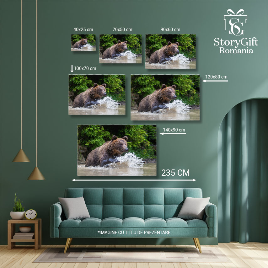 Tablou Canvas intalnire cu Ursii Grizzly: Imagini Uimitoare, 40x25cm [5]