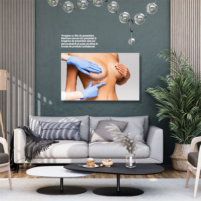 Tablou Canvas - Interventie chirurgicala estetica, lifting si marcare, bust si corp 40x25CM [3]