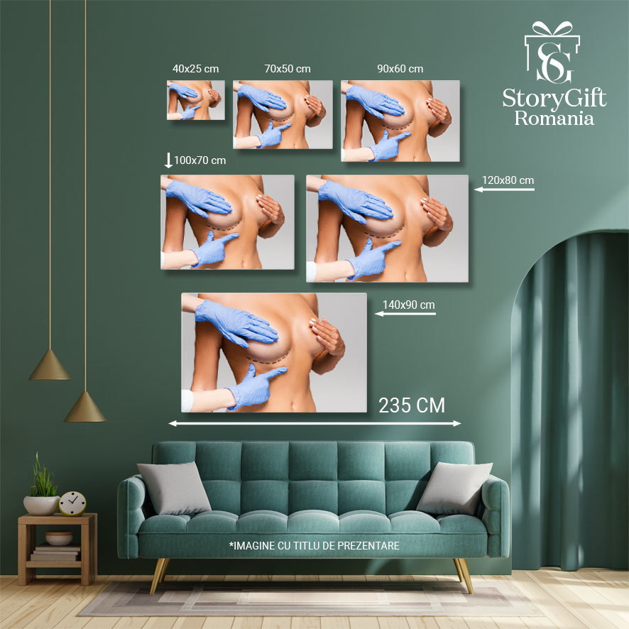 Tablou Canvas - Interventie chirurgicala estetica, lifting si marcare, bust si corp 40x25CM [5]