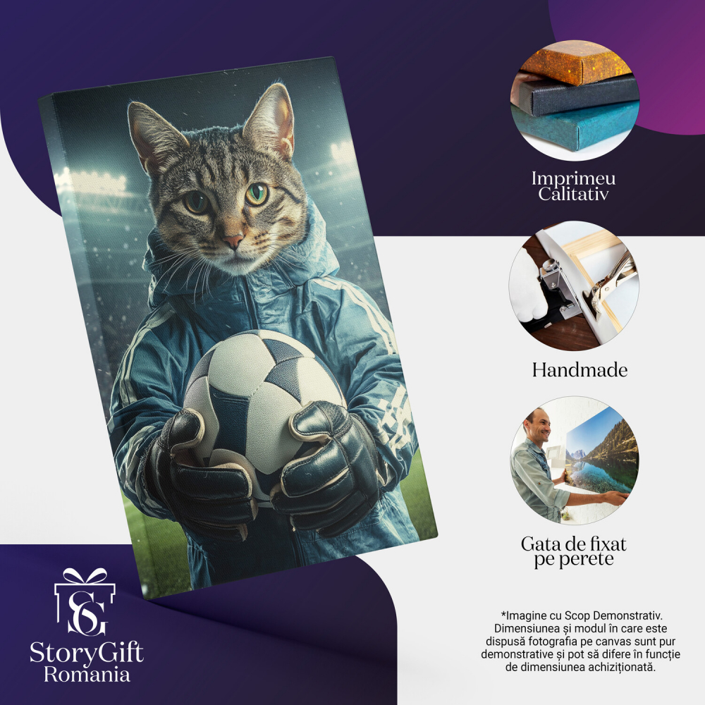  Tablou Canvas Personalizat Jucător Fotbal Cu Jachetă Albastră Și MingeMarime 40x25CM [4]