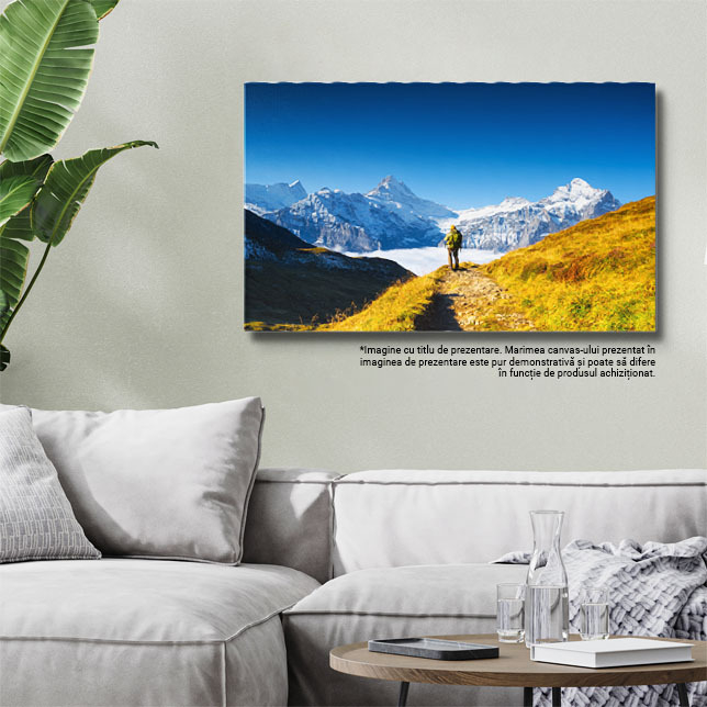 Tablou Canvas Lant Montan prin Nori, Peisaj Montan, Calatorie, Cerdac, Stanci 3159 40x25CM [3]