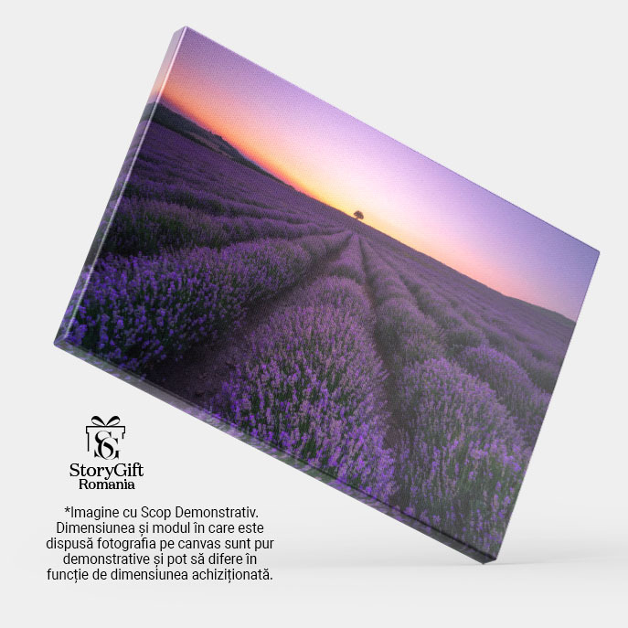 Tablou Canvas - Lavanda in Provence: Magie la Rasarit si Apus 40x25CM [4]