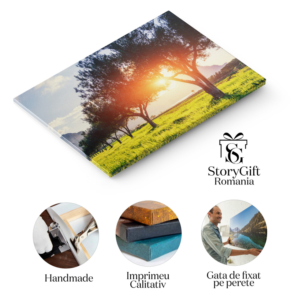 Tablou Canvas Lumina prin Frunzele Verzi: Peisaj Verde și Atmosferă Relaxantă, Marime 40x25CM [2]