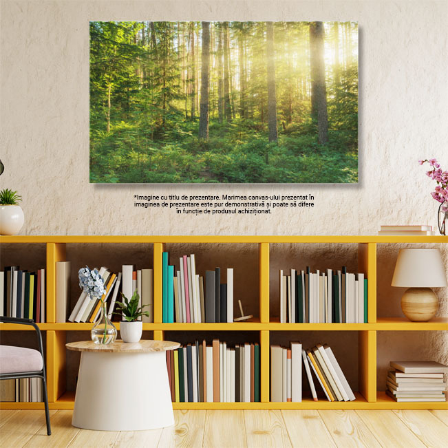 Tablou Canvas Lumina soarelui in padure, copaci, peisaj natural 2524 40x25CM [3]