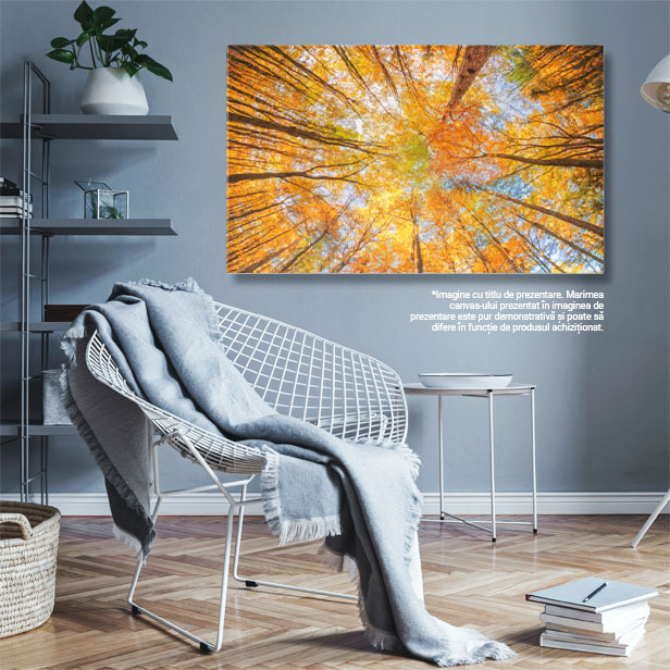 Tablou Canvas Magia padurii toamnei, frunze, peisaj natural, toamna 2520 40x25CM [3]