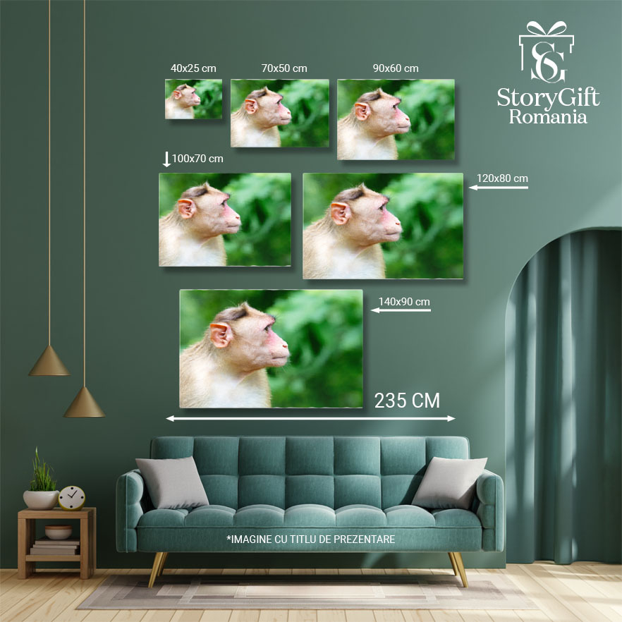 Tablou Canvas Maimuta la Parcul National Sanjay Gandhi Natura, Animal, Parc National, India, Exotic 3061 40x25CM [5]