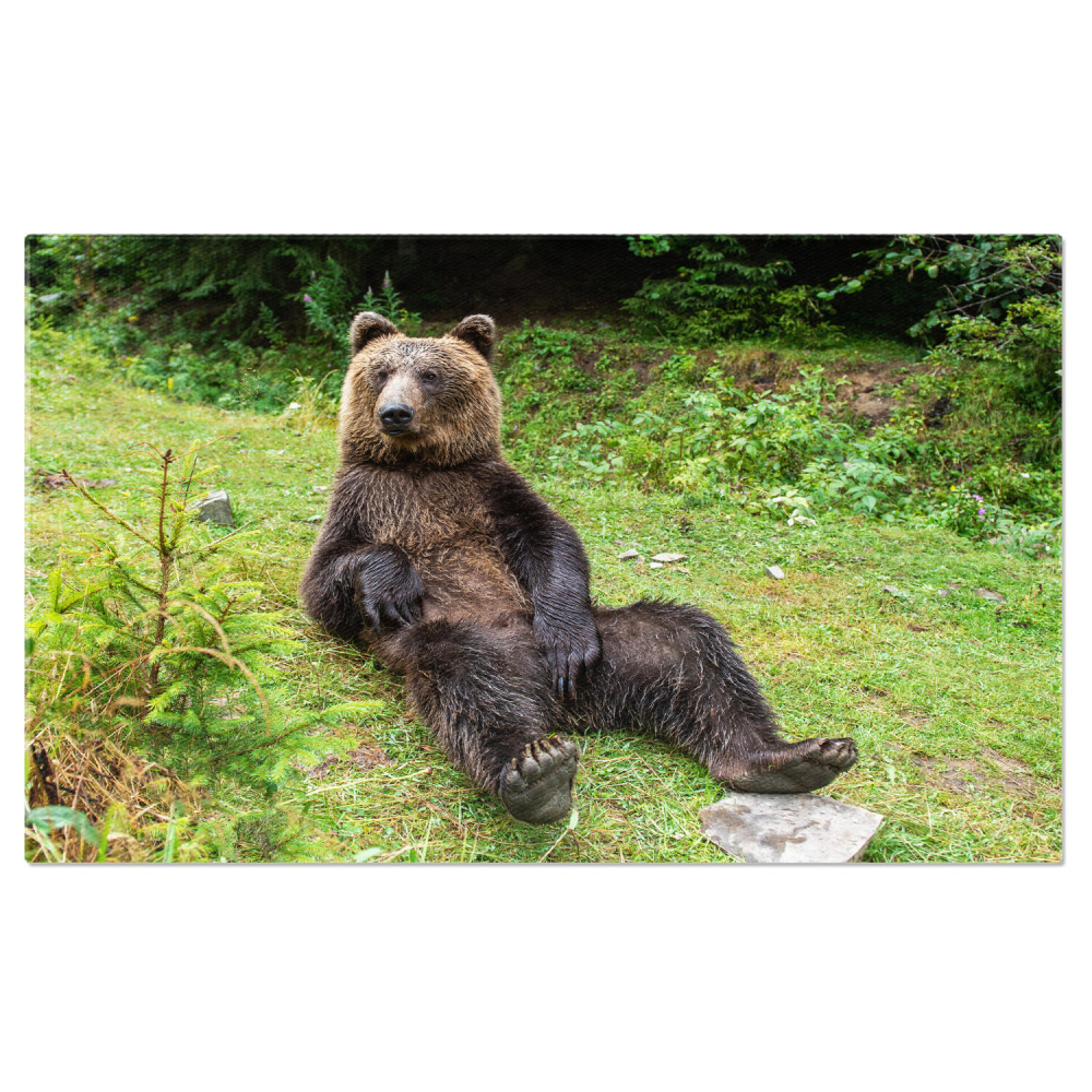 Tablou Canvas Marele Urs Grizzly: Regatul Sălbăticiei în Taiga Nordică, Marime 40x25CM [1]