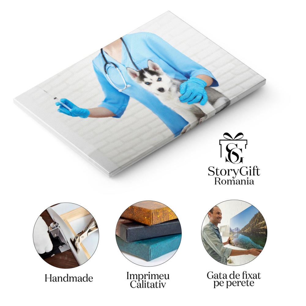 Tablou Canvas - Mascota Husky: Ochi Albastri si Par Moale pentru Cei Mici 40x25CM [2]