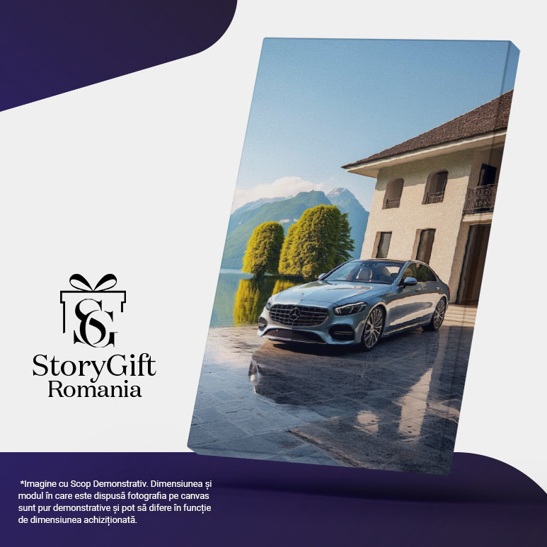 Tablou Canvas:  Masina de lux Mercedes - bolid in fata casei prezentare Pictura Digitala 40x25CM [5]