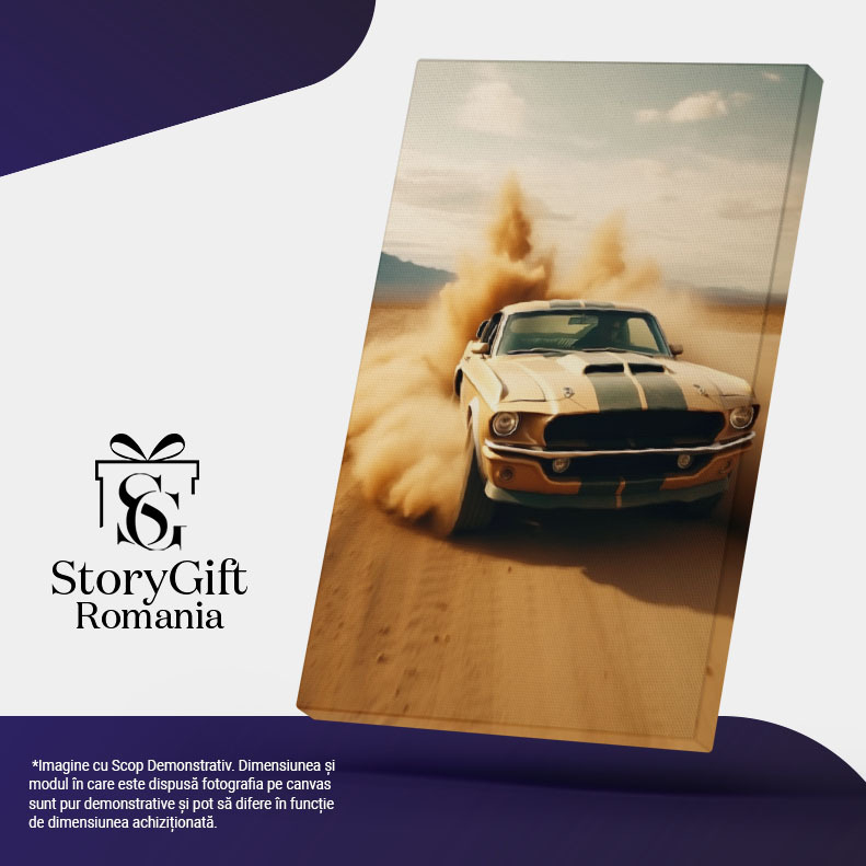 Tablou Canvas:  Masina Dodge pe teren - mult praf viteza Pictura Digitala 40x25CM [5]