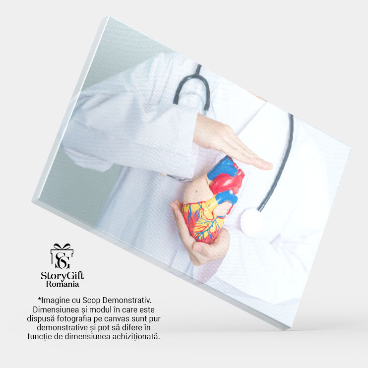 Tablou Canvas Medic Cu Model de Inima Umana cardiologie, inima, cardiovascular, medic, sanatate 1667 40x25CM [4]