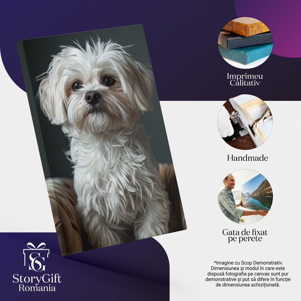 Tablou Canvas  Micul Catel Alb care sta pe Fotoliu cu Ochii Negri Luminosi si Nasul Mic se uita Atent  , Pictura Digitala 40x25CM [2]