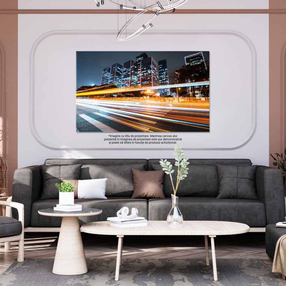Mișcare Rapidă pe Autostrăzi și Pasarele - Orașul în Flux, Marime 40x25CM [3]